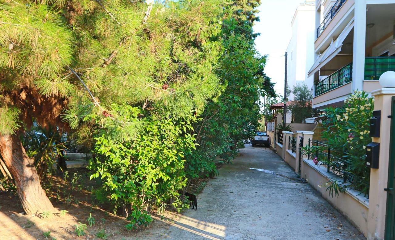 Apartment Elena 1